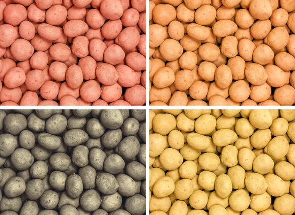 Dört farklı taze patates — Stok fotoğraf