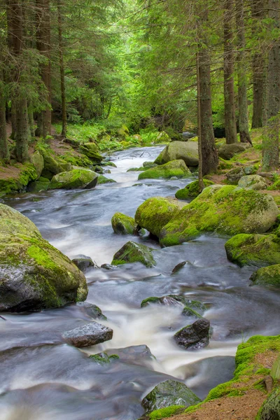 Vodopád v národním parku Šumava Česká republika — Stock fotografie