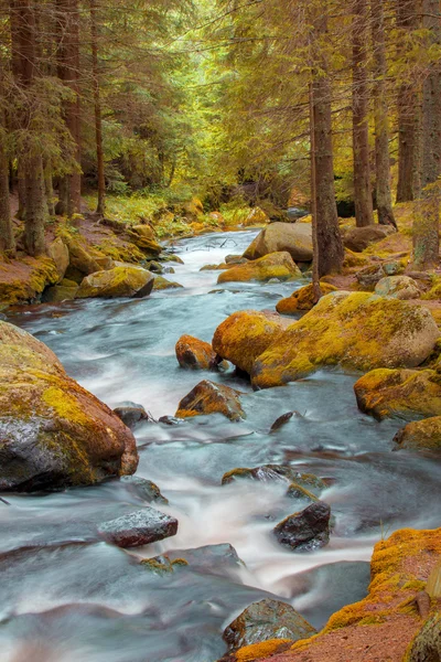 Krásný vodopád v lese. Podzimní krajina, spadané listí, průtok vody. — Stock fotografie