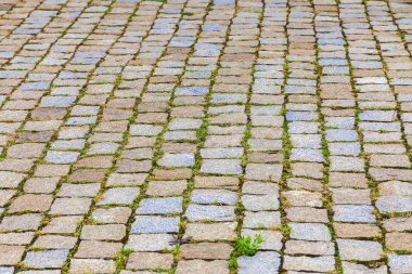 kömür topakları ile çim dokusu