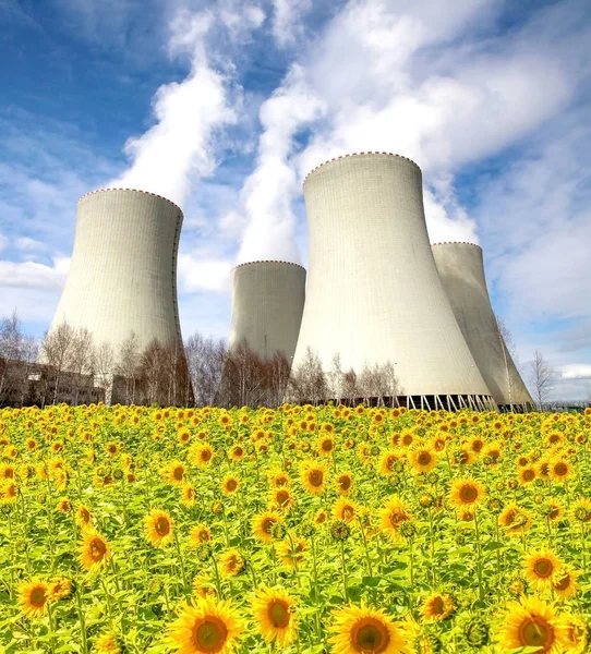 Centrale nucleare Temelin con campo di girasole, Repubblica Ceca — Foto Stock