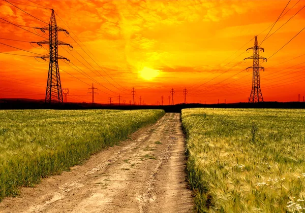 Gün batımında elektrik pilon alanıyla buğday — Stok fotoğraf