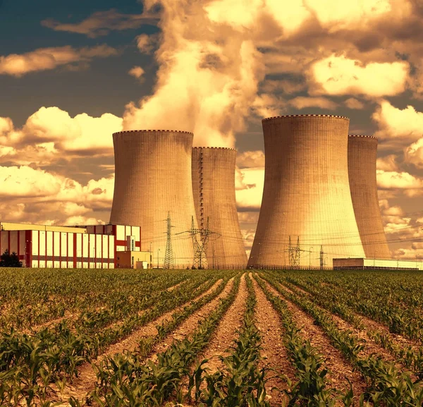 Planta Energía Nuclear Temelin Atardecer República Checa Europa Campo Maíz — Foto de Stock