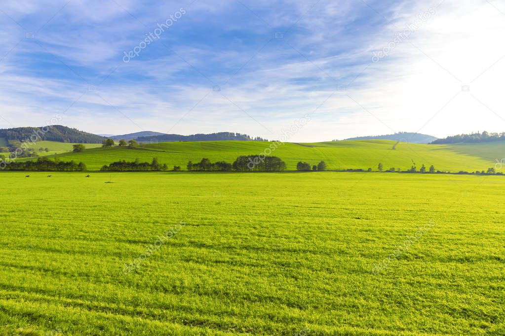 Summer beautiful landscape,green field, Czech Republic
