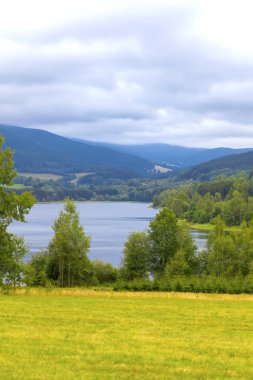 Yaz manzara cam yüzeyi sakin bir nehir ve ağaçlar 