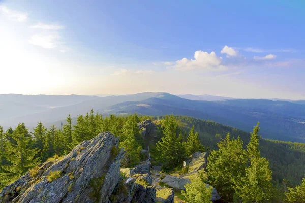 Summer Landscape National Park Bayerische Wald View Mountain Grosser Arber — Stock Photo, Image