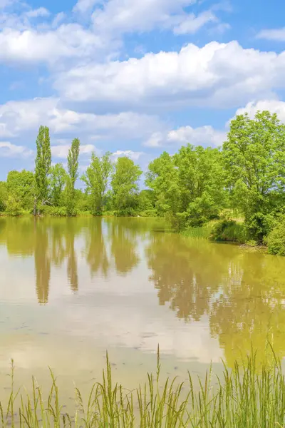 Vista Del Paisaje Del Estanque Primavera Con Cielo Azul Nubes — Foto de Stock