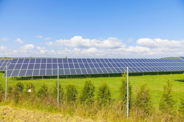 Paneles Energía Solar Campo Verde Cielo Azul —  Fotos de Stock