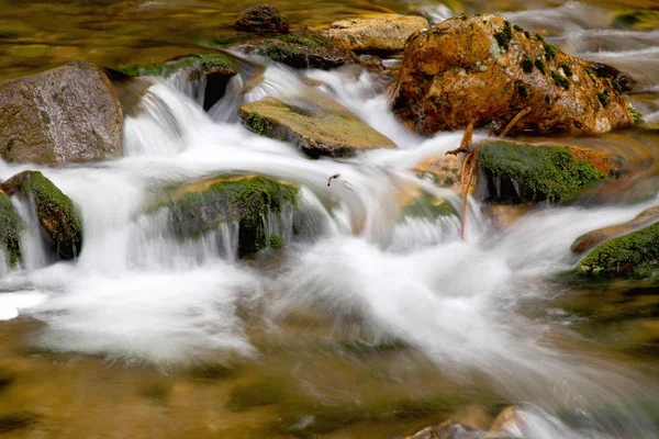 Водопад Горном Потоке Национальном Парке Сумава Чехия — стоковое фото