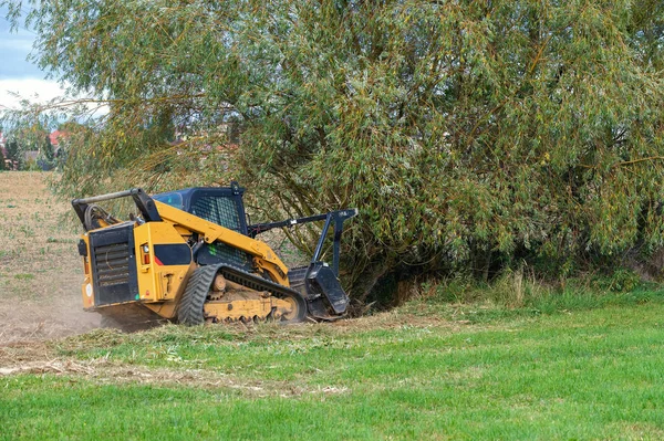 Liten Grävmaskin Förstör Träd Fält Stockbild