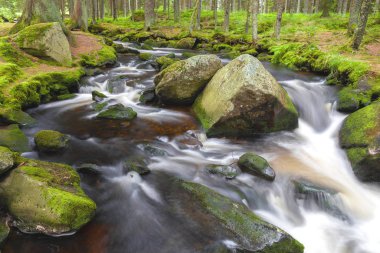 Şelale üzerinde dağ dere Milli Parkı Sumava-Çek Cumhuriyeti