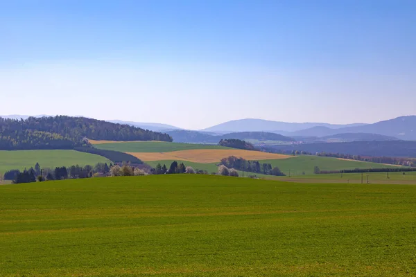 Wiew Transmitter Hohen Bogen Germany Coutryside Landscape Summer Season — Stock Photo, Image