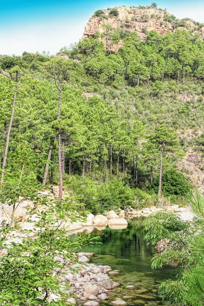 Góry Bavella na wyspie Korsyka, Francja — Zdjęcie stockowe