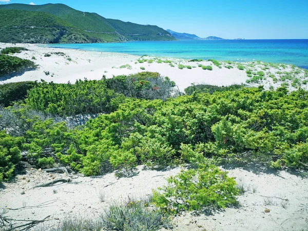 Desert of Agriates, Corsica- The Isle of Beauty, France. — Stock Photo, Image