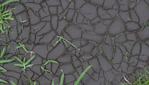 siyah renkli Kuru toprak