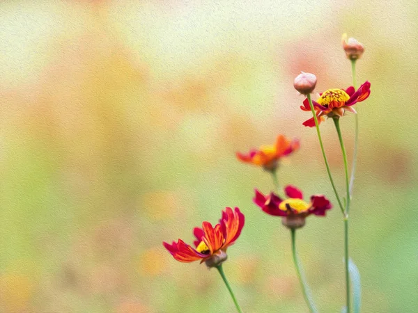 Photoshop filtre yağlı boya ile çiçek