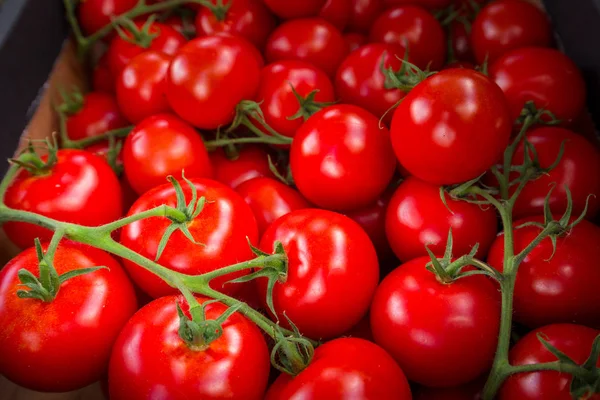 Domates, odak techniaue ve Vignett efekt yığını