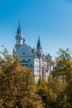 Ön plan olarak sonbahar ormanla Neuschwanstein Şatosu. Yaprak rengi değiştirmek