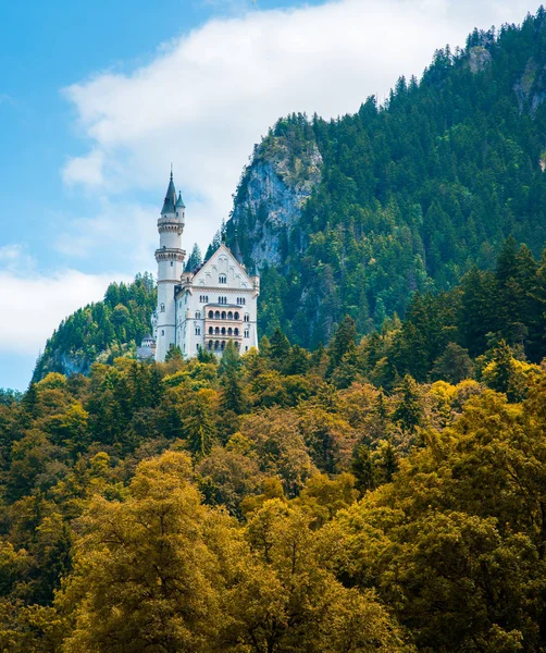 Ön plan olarak sonbahar ormanla Neuschwanstein Şatosu. Yaprak rengi değiştirmek