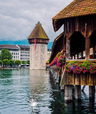 Old Tower and Bridge of Lucerne with white swan in lake clipart