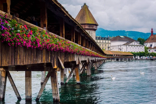 Eski kule ve köprüden Lucerne Beyaz Kuğu Gölü ile