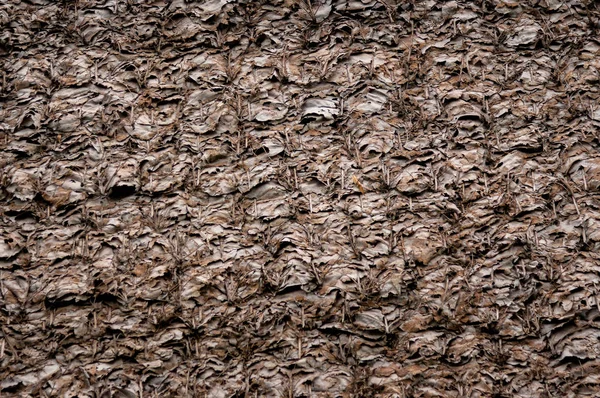 村人たちの葉を乾燥ブラウンの屋根 — ストック写真