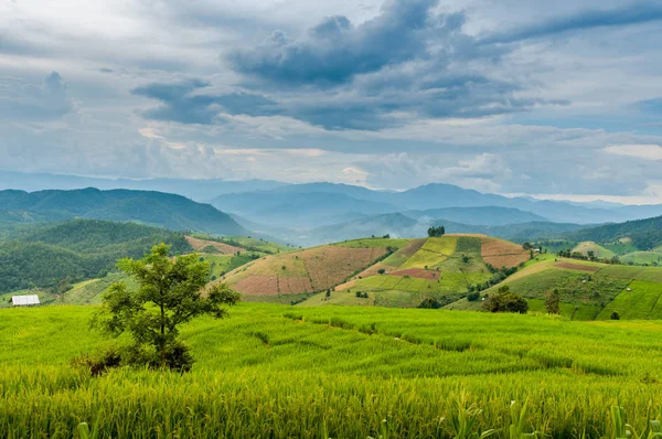 Malé chatky mezi přírodní svěží zelené Rice Terrace v Chiang-m — Stock fotografie