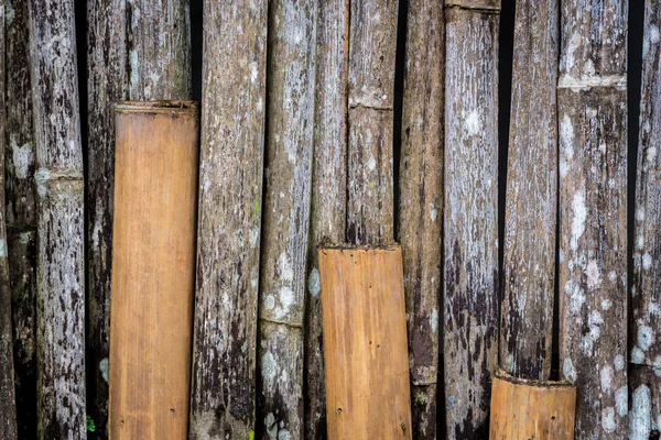 Grunge bambu duvar yeşil-beyaz kalıp ile — Stok fotoğraf