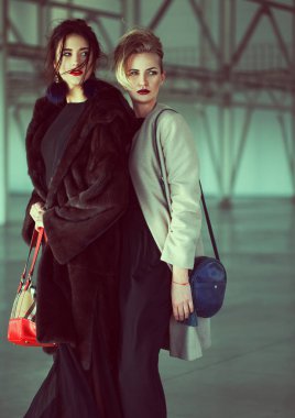 Havaalanı'nda iki model özel uçak bekliyor. moda bakmak, şık makyaj, mükemmel bir saç modeli ve ilginç bireysel çanta