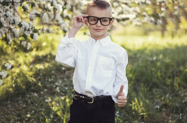 Pequena Criança Caucasiana Wolk Parque Roupas Elegantes Óculos Frescos Rosto — Fotografia de Stock