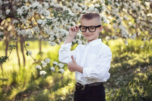 Pequena Criança Caucasiana Wolk Parque Roupas Elegantes Óculos Frescos Rosto — Fotografia de Stock