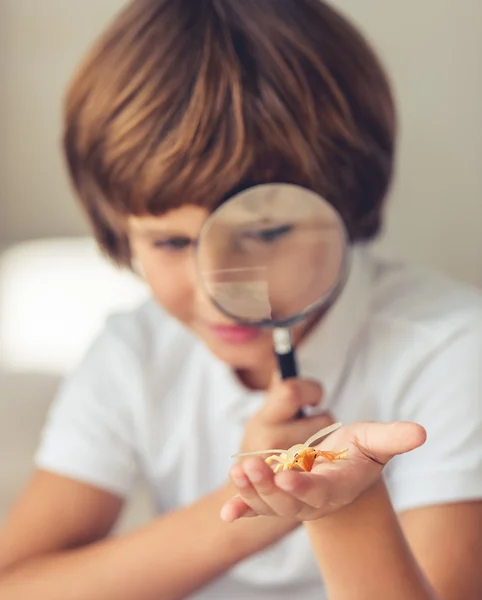 Cute little boy — Stock Photo, Image