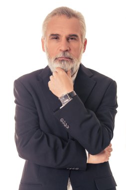 Handsome mature businessman