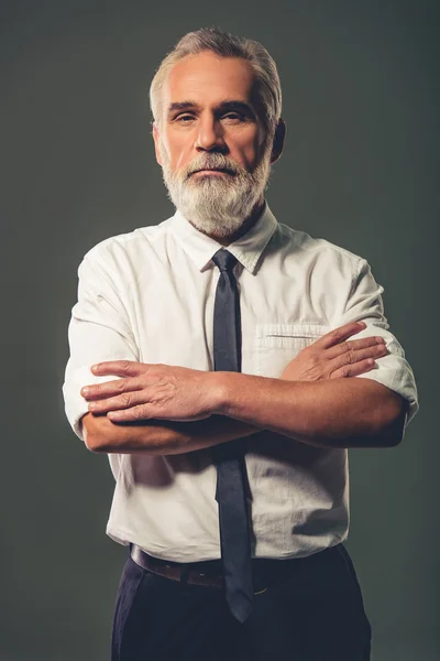 Handsome mature businessman — Stockfoto