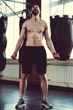 Yakışıklı sakallı boksör