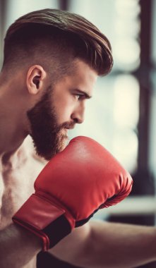 Yakışıklı sakallı boksör