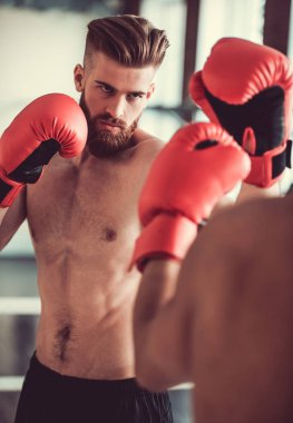 Yakışıklı genç boksörler