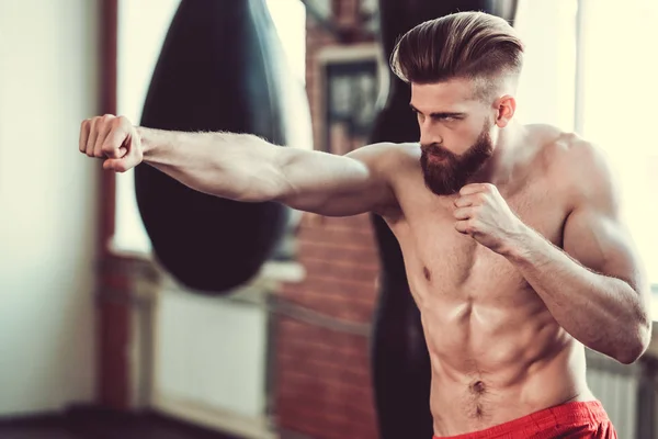 Yakışıklı sakallı boksör — Stok fotoğraf