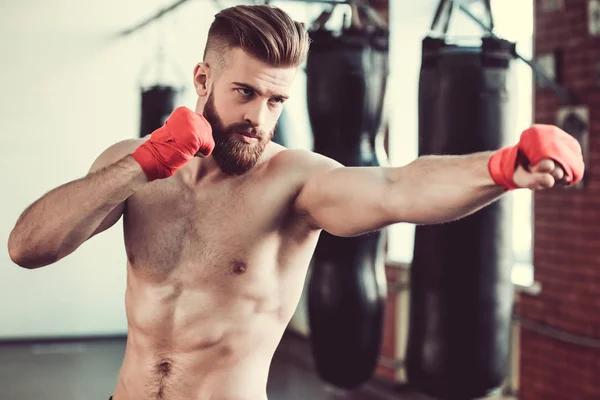 Schöner bärtiger Boxer — Stockfoto