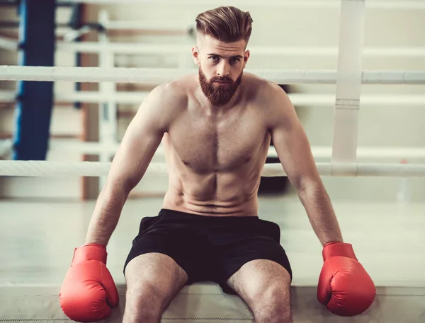 Handsome bearded boxer — Stock Photo, Image