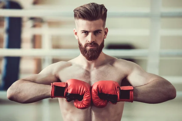 Handsome bearded boxer — Stock Photo, Image