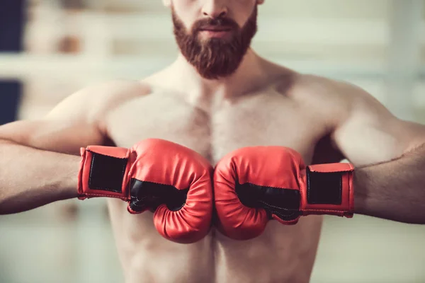 Przystojny bokser Brodaty — Zdjęcie stockowe