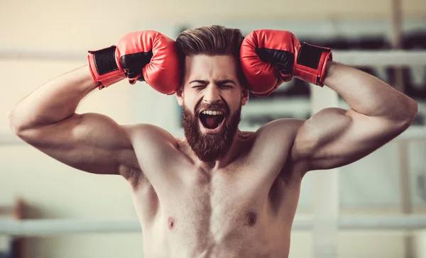 Handsome bearded boxer — Stock Photo, Image