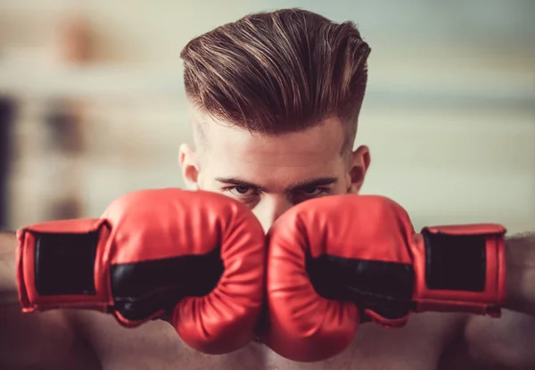 Schöner bärtiger Boxer — Stockfoto