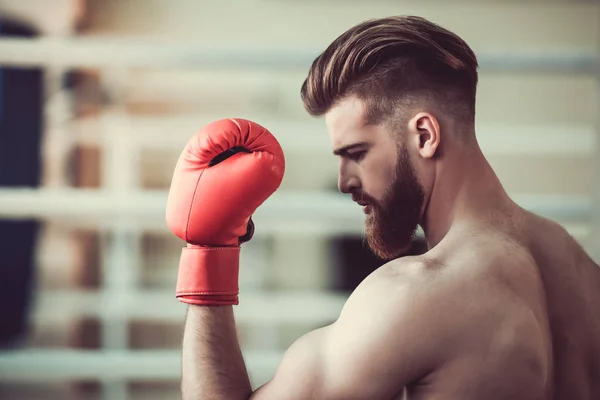 Schöner bärtiger Boxer — Stockfoto