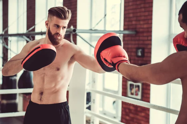 Handsome young boxers — Stock Photo, Image