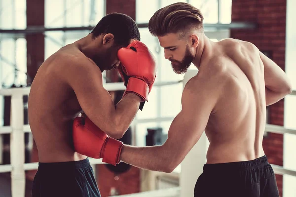 Guapos jóvenes boxeadores —  Fotos de Stock