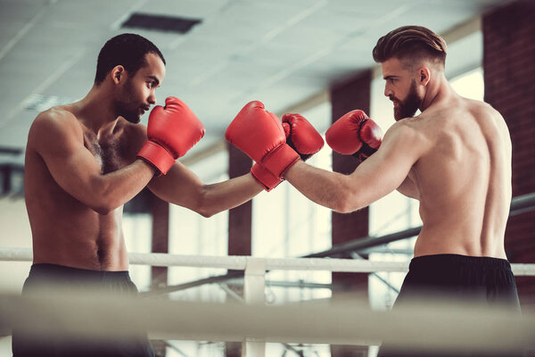 Красивые молодые боксеры
