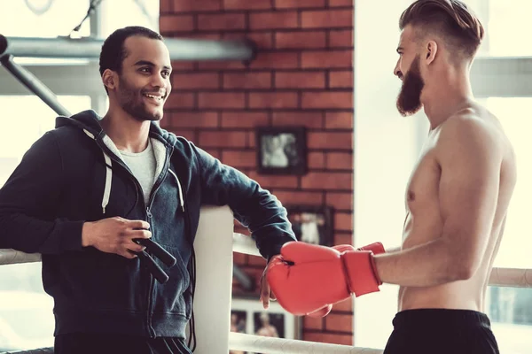 Handsome young boxers — Stock Photo, Image