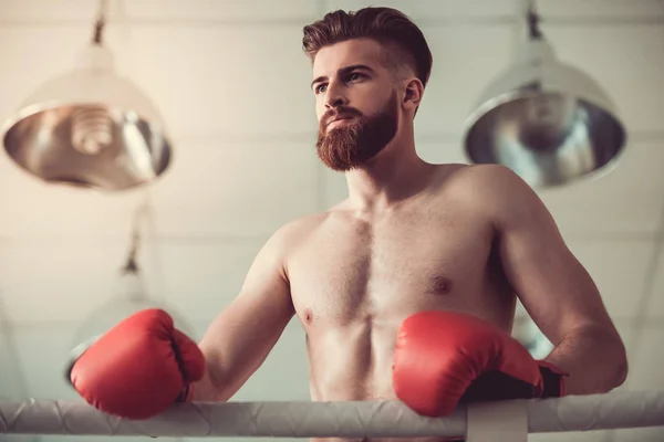 Handsome bearded boxer — Stock Photo, Image